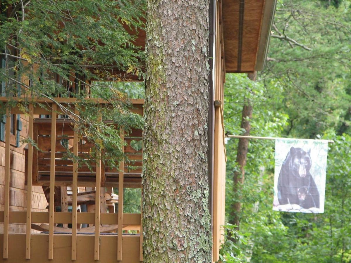 Sunset Ridge Cabin Пиджен Фордж Екстериор снимка